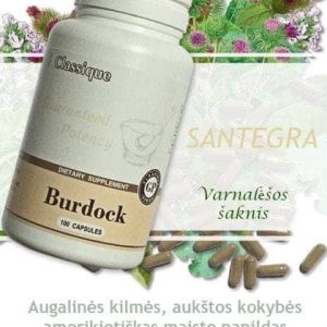 Burdock 100 kaps Santegra maisto papildas
