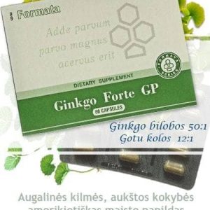 Ginkgo Forte GP Santegra maisto papildas