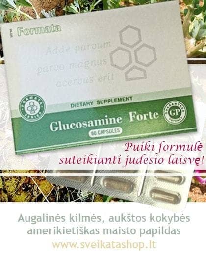 Glucosamine Forte GP Santegra maisto papildas