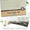 Gotu Kola GP Santegra maisto papildas