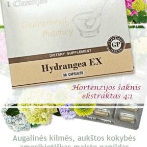 Hydrangea EX 30 Santegra maisto papildas