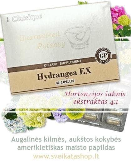 Hydrangea EX 30 Santegra maisto papildas